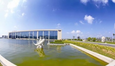 青島海灣化學崛起