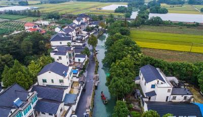 新華社長篇述評(píng)告訴你習(xí)近平如何領(lǐng)航中國經(jīng)濟(jì)