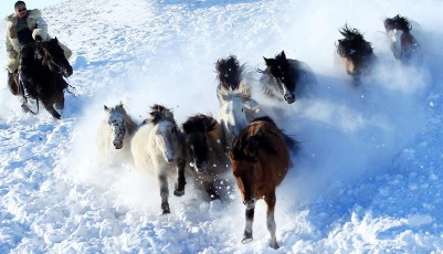 策馬揚鞭踏雪飛！