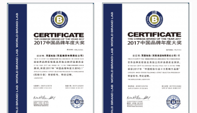 蟬聯(lián)桂冠！雙星榮獲2017年“中國品牌年度大獎NO.1”