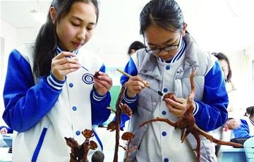 引导多维发展 塑造多彩校园文化