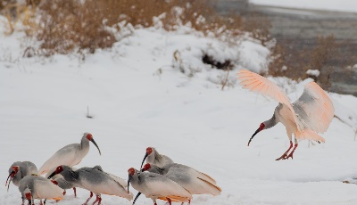 為何近期南方雨雪過程多于北方？中央氣象臺回應