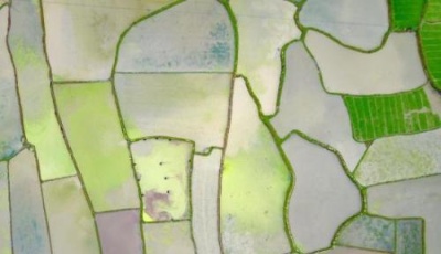 2018年中央一號文件公布 全面部署實施鄉村振興戰略