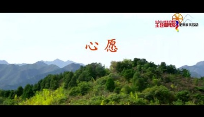 社會(huì)主義核心價(jià)值觀主題微電影20部:《心愿》
