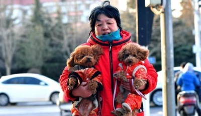 中國大部氣溫舒適迎新年 初二起雨雪增多不利出行