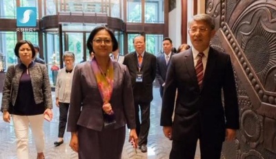 2017感動中國十大人物 | 盧麗安——愛國愛鄉(xiāng)的臺灣籍黨代表