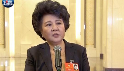 【微視頻】裘援平：少數(shù)人炒作華人華僑問題是罔顧事實(shí) 別有用心