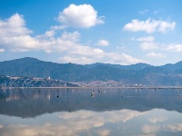 不為俗事累 原上天鵝舞