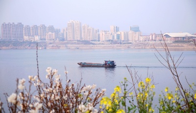 萬物萌生 春色如畫