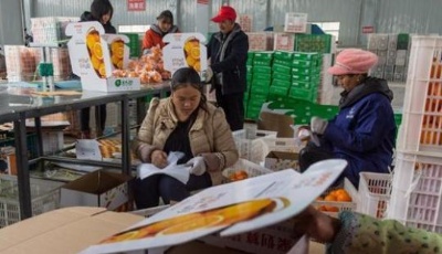 農(nóng)村淘寶年銷售超千億 電商扶貧助力鄉(xiāng)村振興