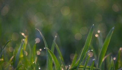 和風(fēng)共驕陽 春暖農(nóng)事忙