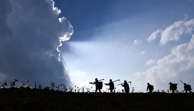 大好春光 農(nóng)耕正忙