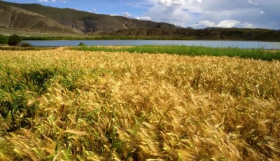 新時代，去奮斗！