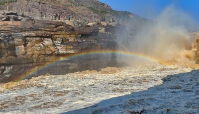 壺口迎來“桃花汛” 黃河兩岸架彩虹