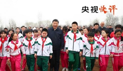 【央視快評】讓祖國大地綠起來美起來