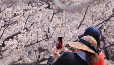 全域發(fā)展打造秀美風(fēng)光 嶗山2018年市場推介會順利召開