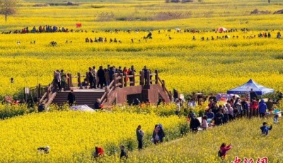 清明假期國(guó)內(nèi)游人數(shù)破億人次 實(shí)現(xiàn)旅游收入421億元