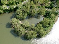 四月里的大明湖 春光明媚柳色新