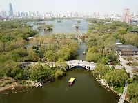 四月里的大明湖 春光明媚柳色新