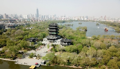 四月里的大明湖 春光明媚柳色新