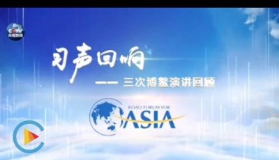 央視原創時政微視頻 | 習聲回響