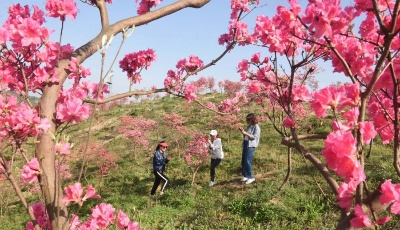 花開在四月 五彩在中華