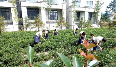 【政策惠商 民企創夢】萬里江：開啟茶文化建設的新時代之路