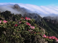 最美人間四月天