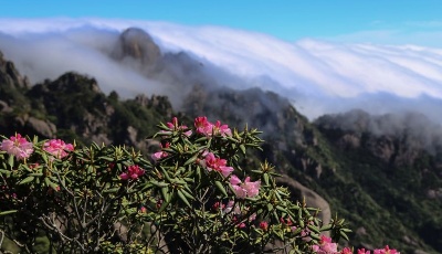 最美人間四月天