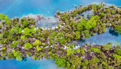 初夏的九寨溝 綠水青山光彩依舊