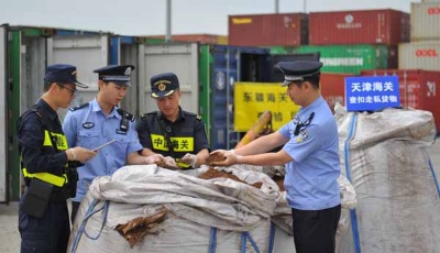 海關總署組織開展最大規模打擊“洋垃圾”走私集中行動