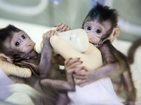 從“第一生產力”到“第一動力”——厚積薄發的中國科技