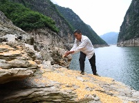 “兩岸猿聲啼不住”