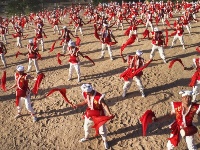    安塞腰鼓展雄風