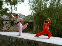  憶童年：帶你穿越40年