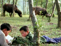  憶童年：帶你穿越40年