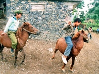  憶童年：帶你穿越40年