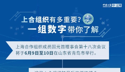 上合組織有多重要？一組數字帶你了解