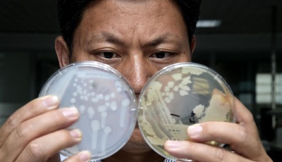 加大基礎(chǔ)研究投入 “松綁”科研人員