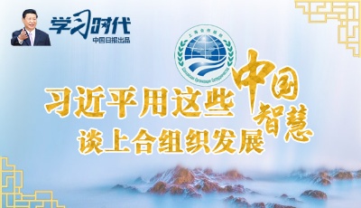 習(xí)近平用這些中國智慧談上合組織發(fā)展