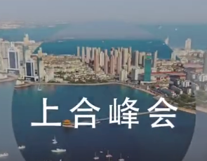 150秒！速覽習(xí)主席青島峰會精彩瞬間