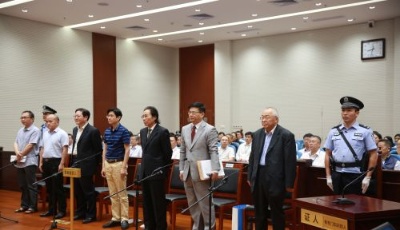 聚焦顧雛軍案再審