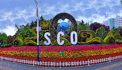 【圖解】青島峰會(huì)：上合組織三大支柱取得這些新成果