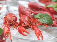 青島夏季燒烤美食節(jié) 嗨起來！