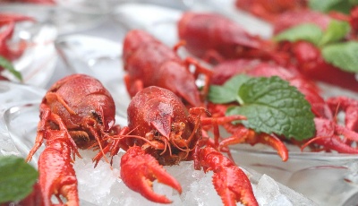 青島夏季燒烤美食節(jié) 嗨起來(lái)！