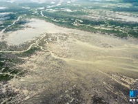 【“飛閱”中國】航拍江蘇大豐灘涂：呦呦鹿鳴 食野之蘋