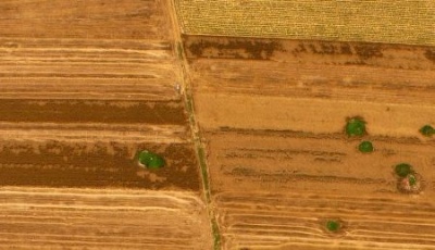 國務院：將每年農歷秋分設立為“中國農民豐收節”