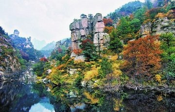 青島市旅游發(fā)展委發(fā)布暑期旅游溫馨提示