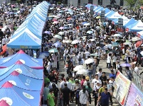 組圖：高校招生咨詢忙