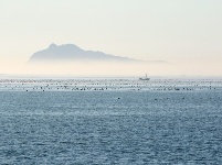 霧海遮城 宛若仙境